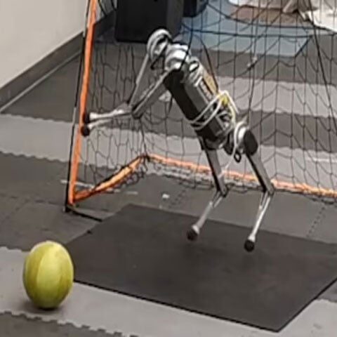 سائنس دانوں نے چار پیروں والے روبوٹ کو گول کیپر بنا دیا