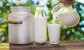 یورپی 7400 سال پہلے سے دودھ کا استعمال کر رہے ہیں تحقیق