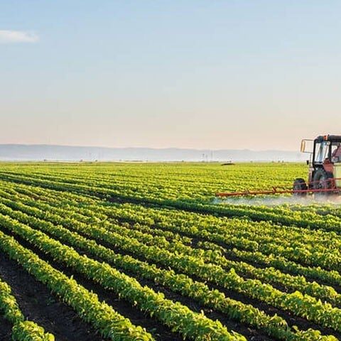 زرعی زمین سے گرین ہاؤس گیس کی کٹوتی کے لیے طریقہ دریافت