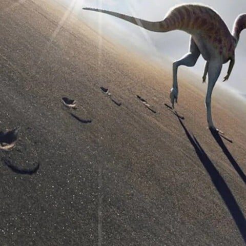 برازیل میں ملے قدموں کے نشان سے ڈائناسور کی نئی نسل دریافت