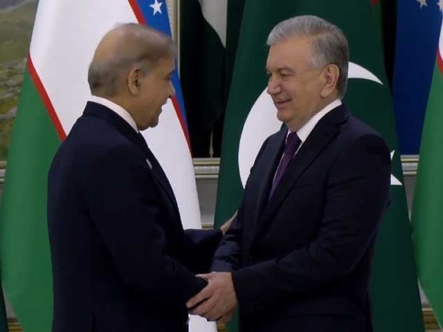 شنگھائی تعاون تنظیم اجلاس، وزیراعظم کی ازبکستان کے صدر سے ملاقات