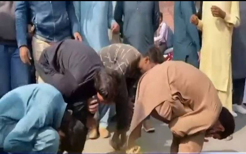 رحیم یارخان: مرغی فروشوں کا مرغا بن کر دھرنا