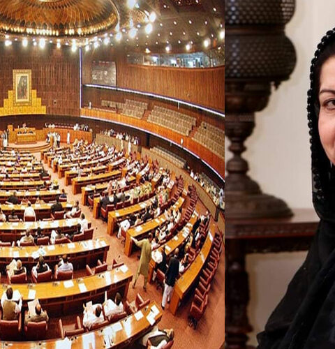 پیپلز پارٹی کی ثمینہ خالد کی مخصوص نشست پر کامیابی کا نوٹیفکیشن جاری