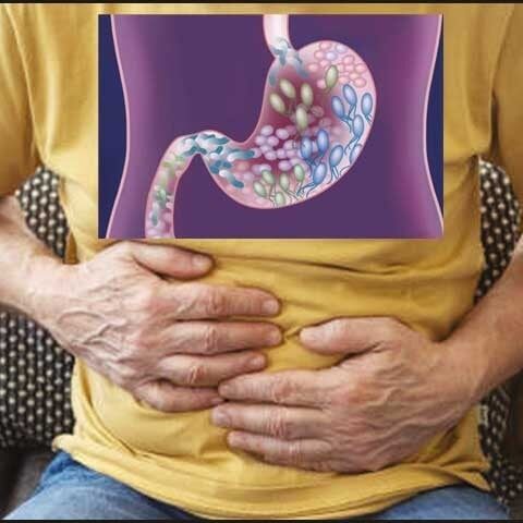معدہ کی صحت کو کیسے یقینی بنائیں؟
