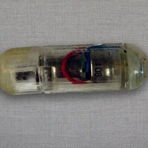 مُٹاپے کا علاج کرنے والی نئی وائبریٹنگ گولی