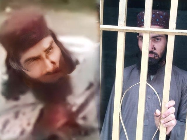 آوارہ کتے کو بہیمانہ طریقے سے قتل کرنے والے شہری کے خلاف مقدمہ درج