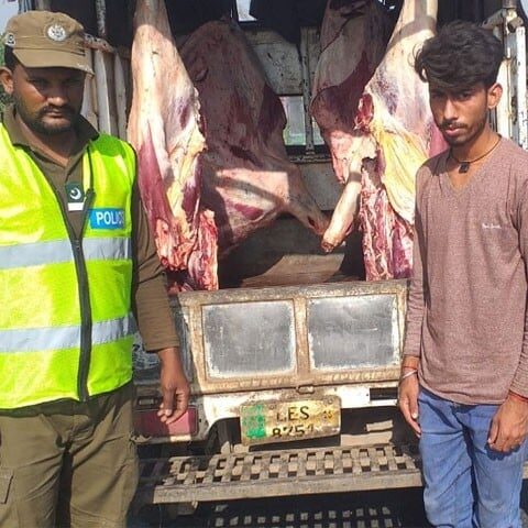 مردار جانور کا 10 من گوشت لاہور منتقل کرنے کی کوشش ناکام