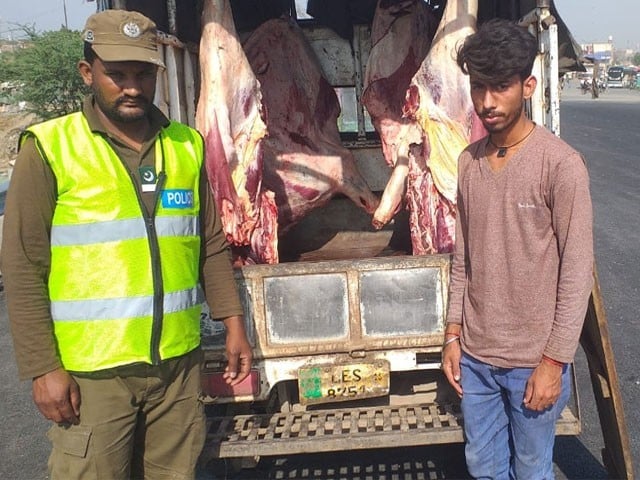 مردار جانور کا 10 من گوشت لاہور منتقل کرنے کی کوشش ناکام