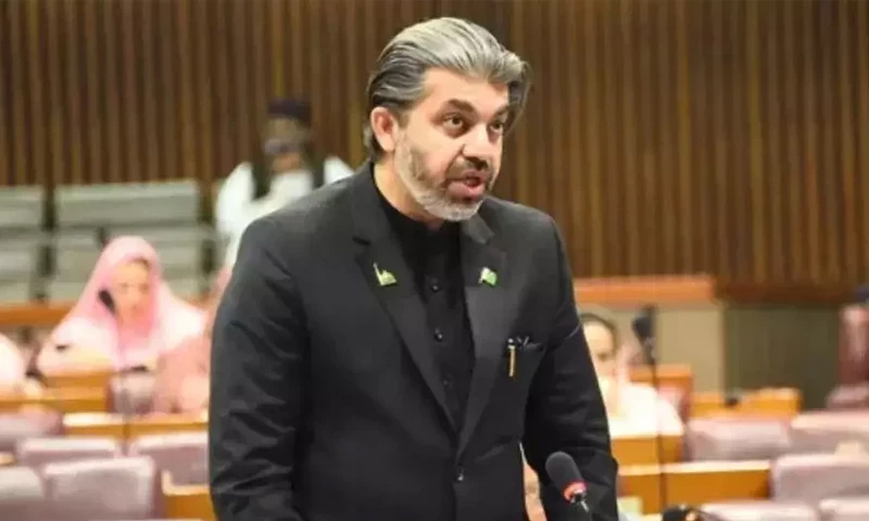 تحریک انصاف کے رہنما علی محمد خان پانچویں مرتبہ گرفتار