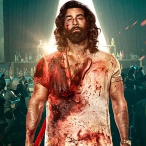 باکس آفس پر "انیمل" کا راج، 600 کروڑ کے کلب میں داخل