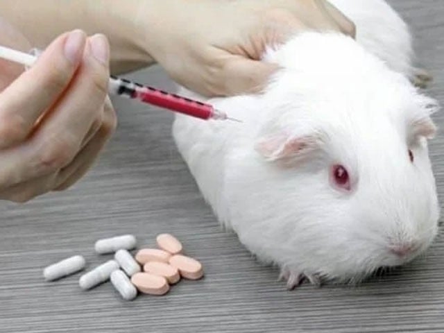 زندہ جانوروں پر سائنسی تجربات کی تعداد میں کمی