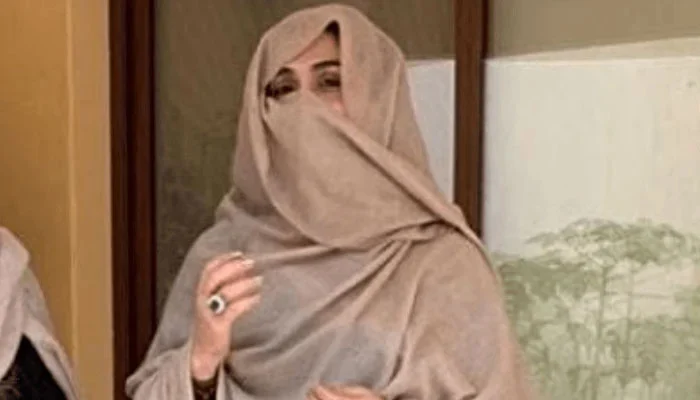 آپس کے اختلافات سے پارٹی کا نقصان ہو رہا ہے ، رہنما متحد رہیں ، بشریٰ بی بی