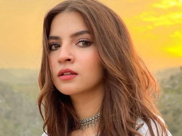 "فلسطین کی حمایت کرنے پر کئی پراجیکٹس سے نکالا گیا"؛ دنانیر کا انکشاف