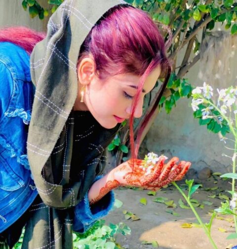دانیہ شاہ نے ضمانت کیلئے سیشن کورٹ سے رجوع کرلیا