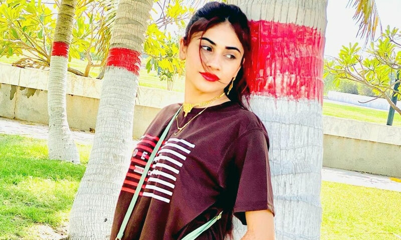 عدالت نے دانیہ شاہ کے جسمانی ریمانڈ کی درخواست مسترد کر دی