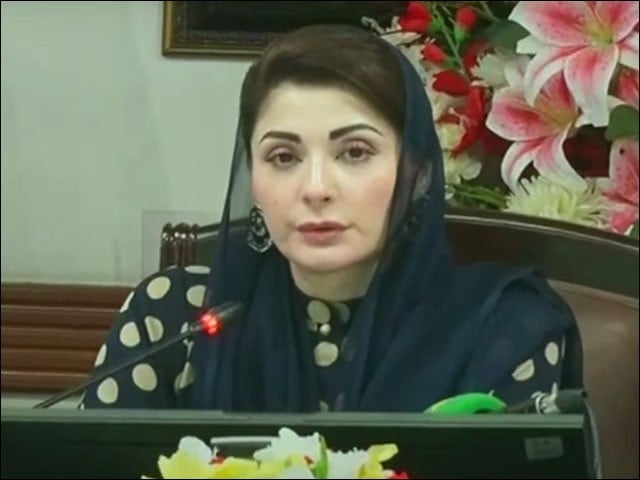 26 ویں آئینی ترمیم پارلیمنٹ کی بالا دستی کیلیے ضروری تھی، وزیراعلیٰ پنجاب