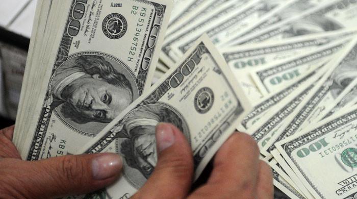 انٹر بینک میں ڈالر 282 روپے کا ہو گیا
