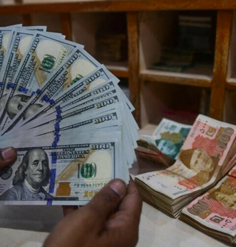 انٹر بینک ڈالر تاریخ میں پہلی بار 295 روپے کا ہو گیا
