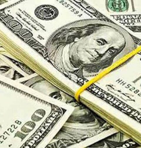 ڈالر کی قدر میں مزید اضافہ، نئی قیمت جانیے
