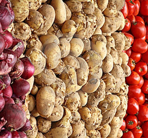 پنجاب میں پیاز ٹماٹر کی پیداوار کیلئے زرعی آلات پر 70فیصد سبسڈی کا اعلان