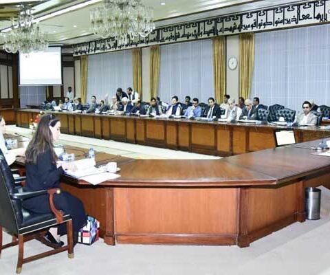 ای سی سی اجلاس: سیلاب سے متاثرہ سڑکوں کی تعمیر کیلیے ایک ارب 66 کروڑ منظور