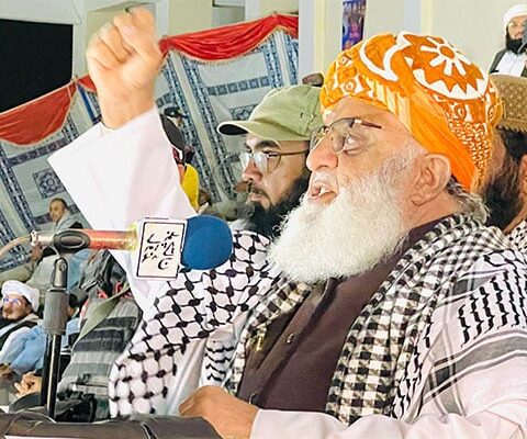فلسطین کی آزادی میں شرکت کا اعلان کرتے ہیں، فضل الرحمان
