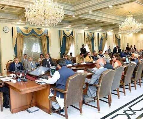 کفایت شعاری مہم وفاقی وزراء کا تنخواہوں کے الاؤنسز مراعات چھوڑنے کا فیصلہ