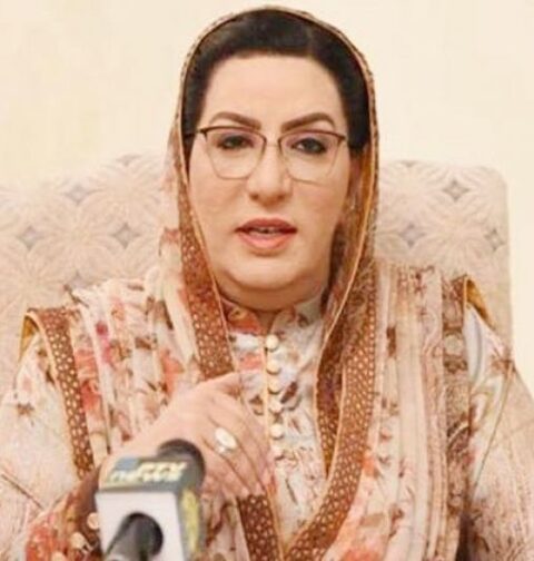 دیکھنا پڑے گا عوام پر گرے بجلی کے بلوں کا ذمے دار کون ہے، فردوس عاشق