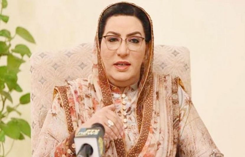 دیکھنا پڑے گا عوام پر گرے بجلی کے بلوں کا ذمے دار کون ہے، فردوس عاشق