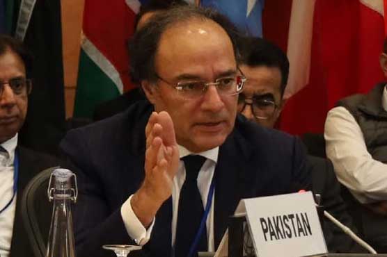 پاکستان میں مہنگائی کی شرح کم کرنے کیلئے اقدامات کر رہے ہیں: وزیر خزانہ