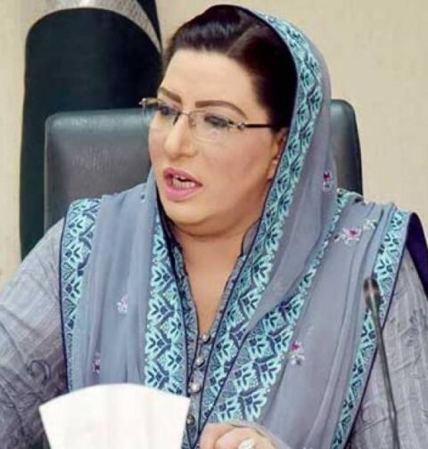 عسکری سپہ سالار نے اقتصادی سپہ سالار کا کردار ادا کیا ہے، فردوس عاشق