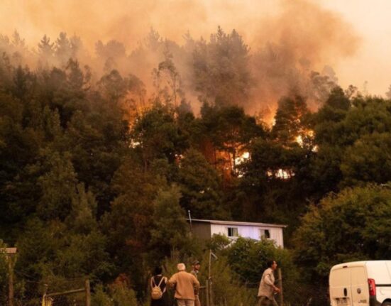 چلی کے جنگلات میں خوفناک آتشزدگی میں 23 افراد ہلاک 979 زخمی