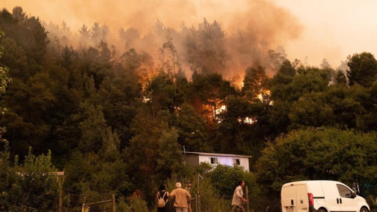 چلی کے جنگلات میں خوفناک آتشزدگی میں 23 افراد ہلاک 979 زخمی