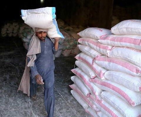 صوبائی حکومتوں کی نااہلی نے آٹے کی قیمت کو پَر لگوادیے