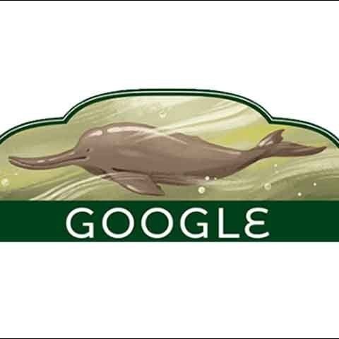 گوگل بھی پاکستانیوں کے جشن میں شریک، یومِ آزادی پر ڈوڈل بدل دیا
