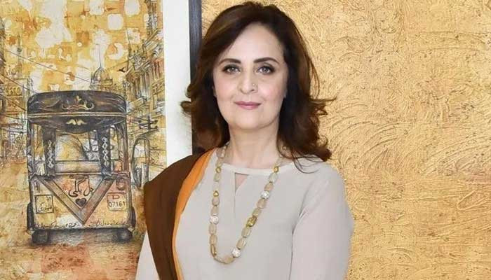 ڈراموں میں خواتین کیلیے بہترین کردار مردوں نے لکھے، حنا بیات