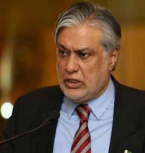 پاکستان کے ڈیفالٹ کی خواہش عمران نیازی کے ساتھ قبر میں جائے گی وزیر خزانہ