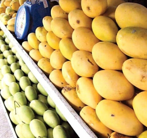 10 ڈالر کا پاکستانی آم دبئی میں دوبارہ پیک ہوکر 120ڈالر کا ہوجاتا ہے، یو اے ای قونصلر