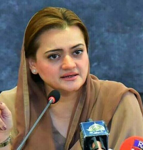 مریم اورنگزیب نے عمران خان کو سیاسی دہشت گرد قرار دے دیا