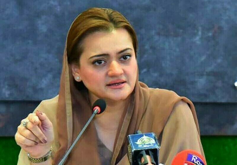 وزیرِ اعظم ہاؤس سے ڈیلی میل کی اسٹوری پلانٹ کرائی گئی تھی مریم اورنگزیب