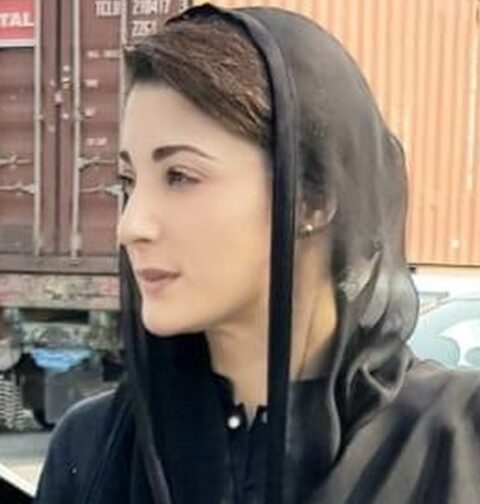 مریم نواز کےخلاف درخواست کے قابل سماعت ہونے پر دلائل دینے کی ہدایت