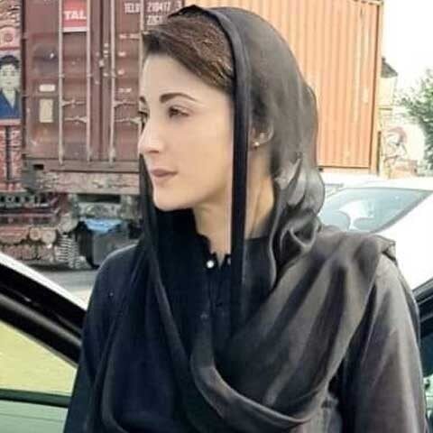 مریم نواز کروڑوں کی مالک، مالی اثاثوں کی تفصیلات سامنے آ گئیں