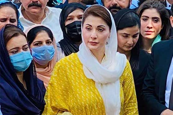 تصویر میں شاندار بیک گراؤنڈ، مریم نواز نے مداح سے کیا پوچھا؟