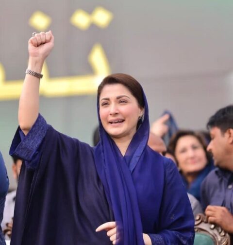 تخریب کار گروہ اپنے انجام کو پہنچ گیا، مریم نواز