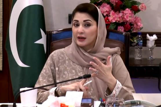وزیراعلیٰ پنجاب نے ’نوازشریف کسان کارڈ‘ کی منظوری دے دی