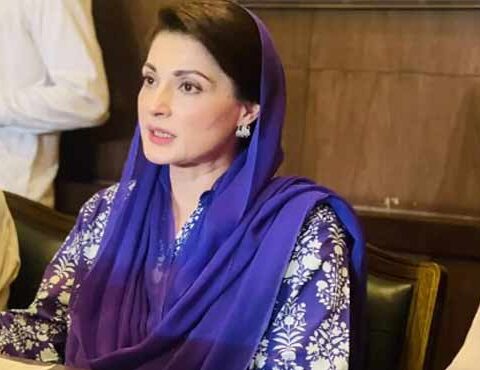 چیف آرگنائزر بننے پر ہونے والی تنقید مریم نواز پھٹ پڑیں