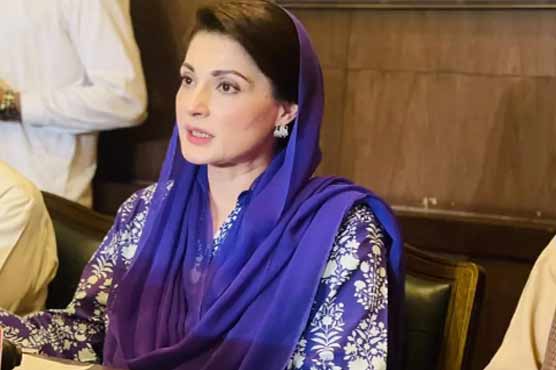 چیف آرگنائزر بننے پر ہونے والی تنقید مریم نواز پھٹ پڑیں