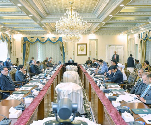 ن لیگی وزیروں کا بغیر تنخواہ کام کرنے کا فیصلہ