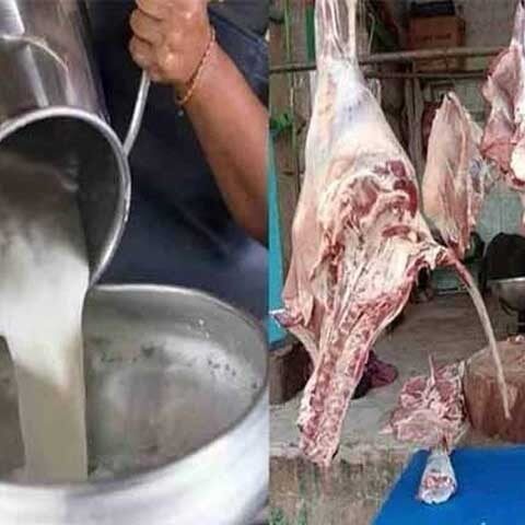 آئی ایم ایف کا دودھ، گوشت کی قیمتیں مارکیٹ پر چھوڑنے کا مطالبہ