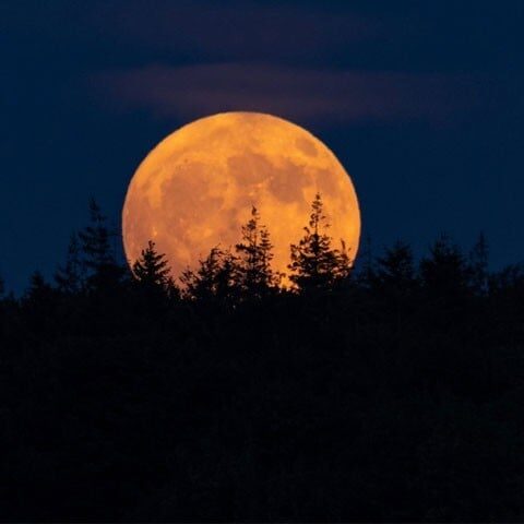 یکم اور30 اگست کو’ سُپر مُون ‘ ہوگا، چاند بڑا اور زیادہ روشن نظر آئے گا